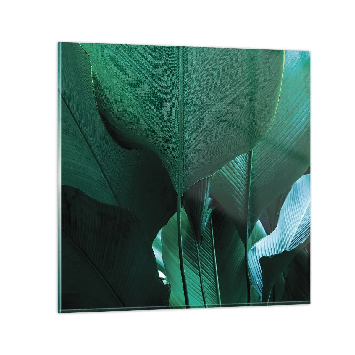 Glass picture - Turned towards Light - 70x70 cm