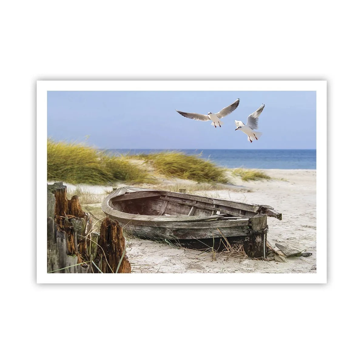 Poster - Bathed in the Sun - 100x70 cm