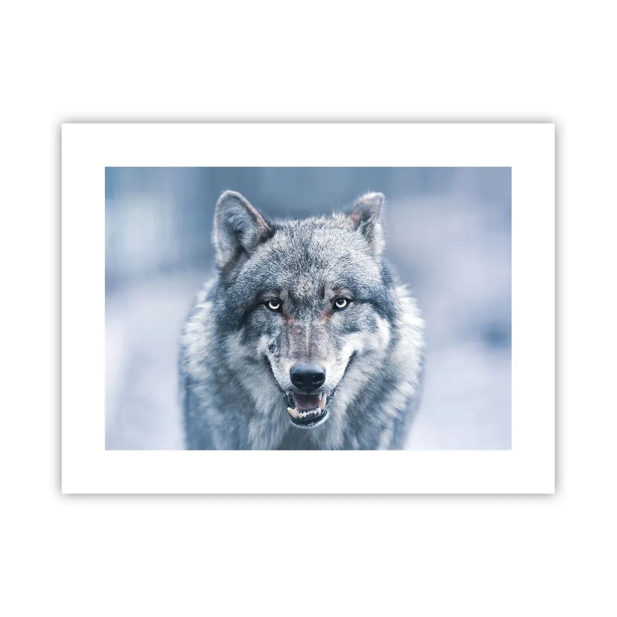 Poster - Will You Take Up the Challenge? - 40x30 cm