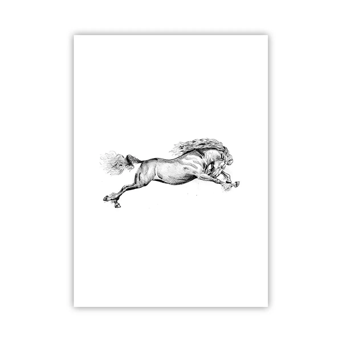 Poster - Stopped at a Gallop - 50x70 cm