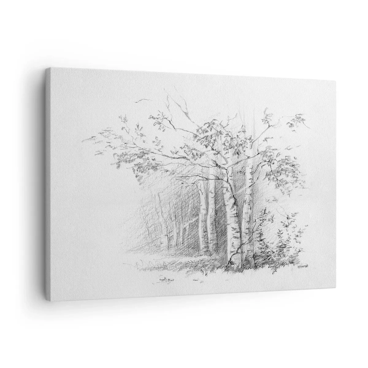 Canvas picture - A drawing of a birch forest in a subtle pencil sketch - 70x50cm - Holiday of Birch Forest - Modern wall decoration for the living room and bedroom ARTTOR