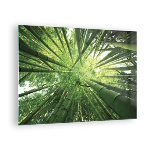 Glass picture - Upward perspective view of the bamboo forest - 70x50cm - In a Bamboo Forest - Modern wall decoration for the living room and bedroom ARTTOR