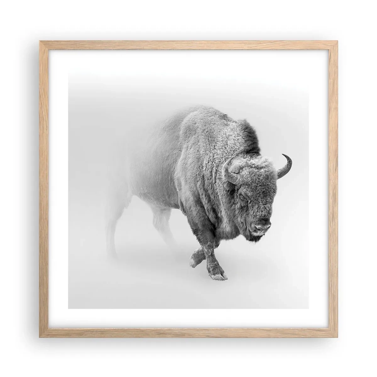 Poster in light oak frame - King of the Prairie - 50x50 cm