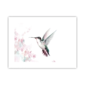 Poster - Stopped in Flutter - 40x30 cm