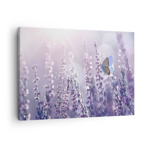 Canvas picture - A butterfly on blooming lavender in the morning light - 70x50cm - Kiss of a Butterfly - Modern wall decoration for the living room and bedroom ARTTOR