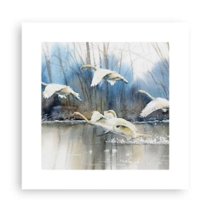 Poster - Like in a Fairy Tale about Wild Swans - 30x30 cm