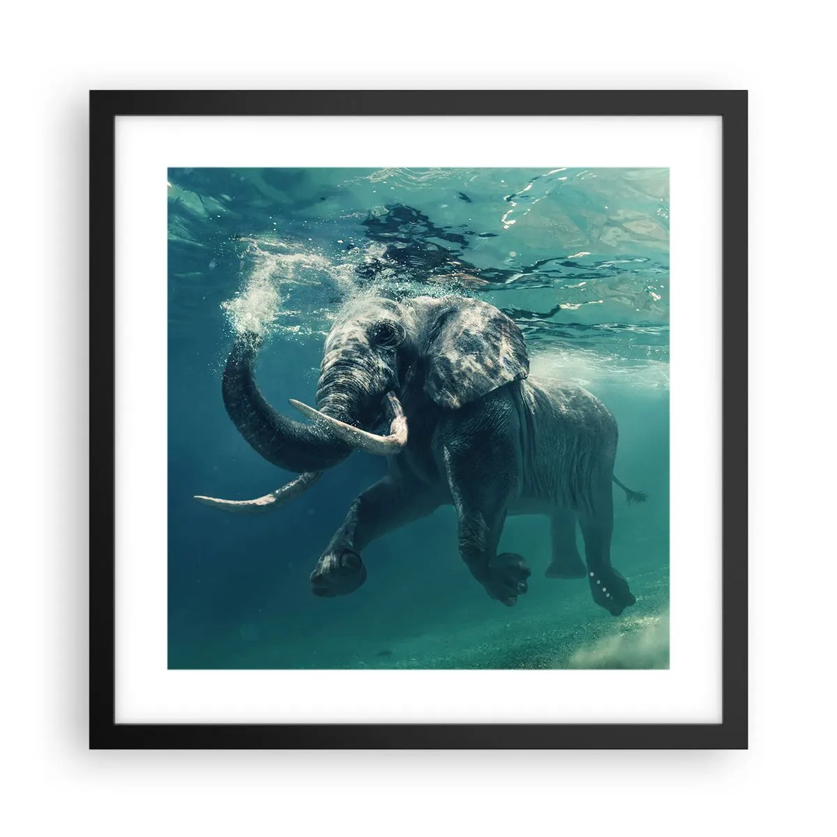 Poster in black frame - Everyone Likes to Swim - 40x40 cm