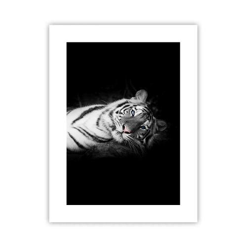 Poster - Wilderness and Calm - 30x40 cm