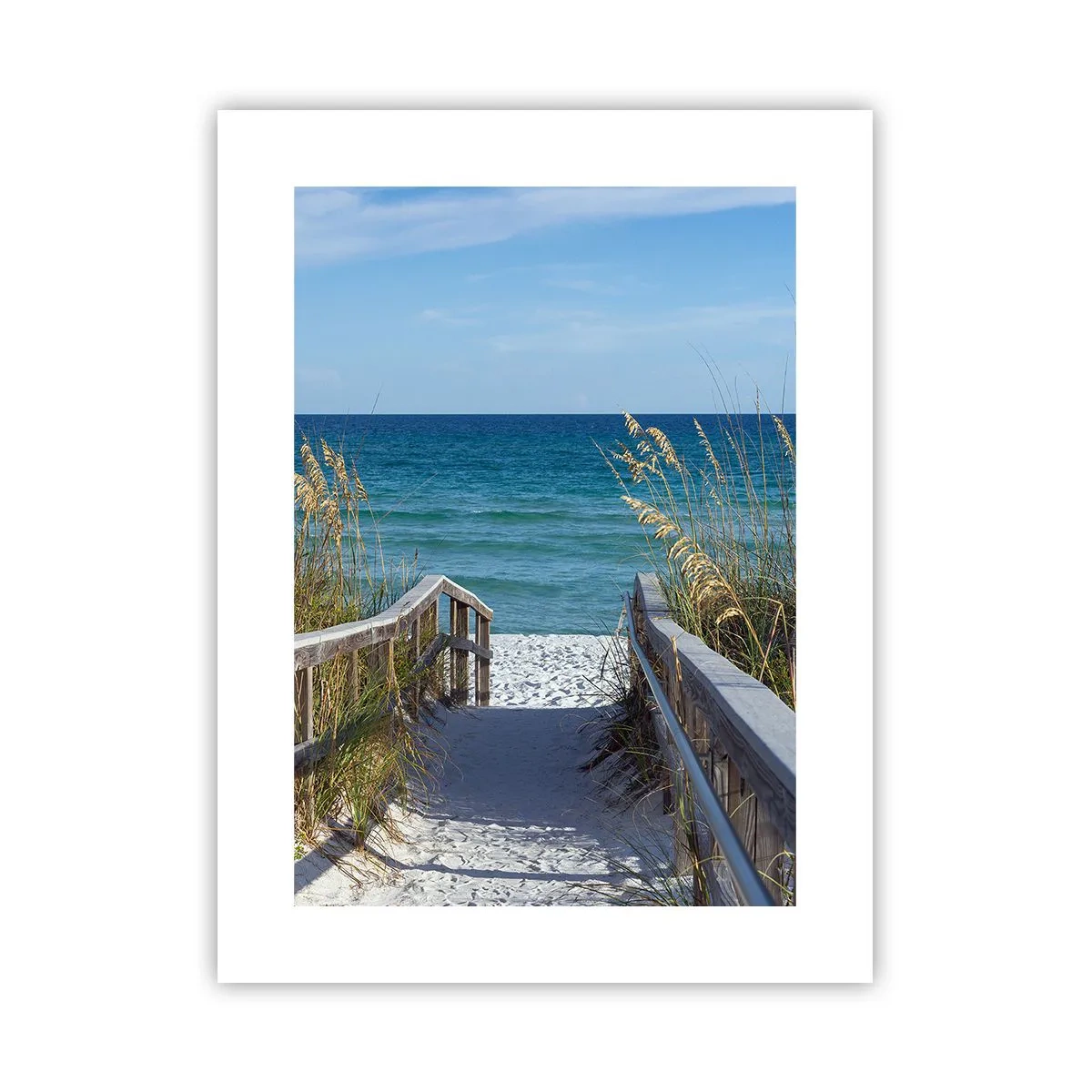 Poster - In the Sun, out in the Wind - 30x40 cm