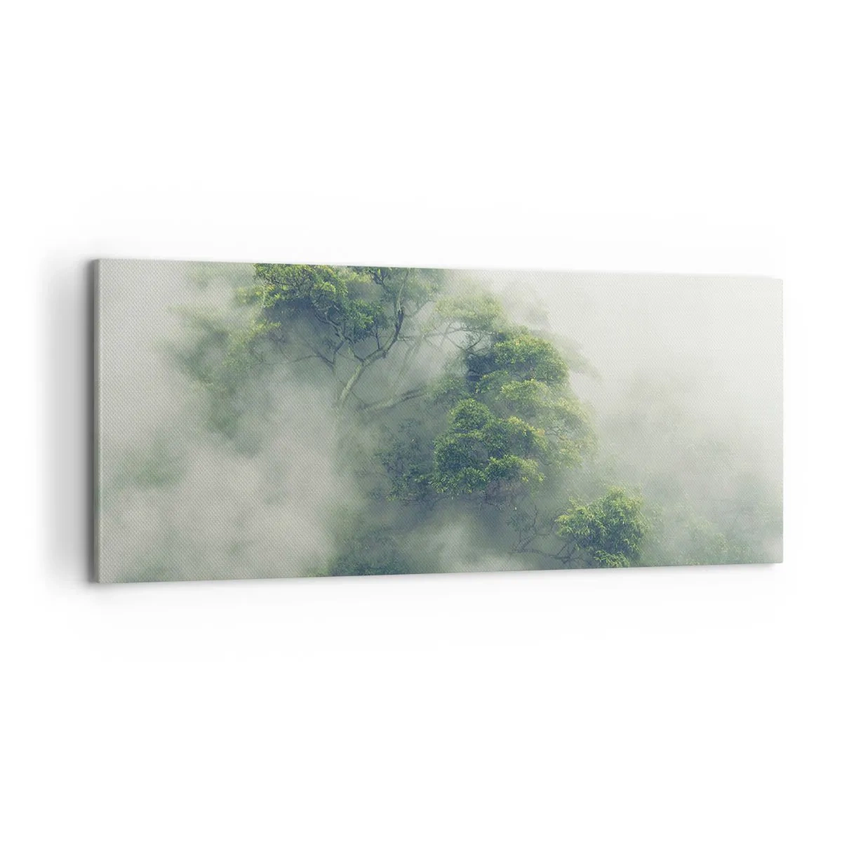 Canvas picture - Wrapped In Fog - 100x40 cm