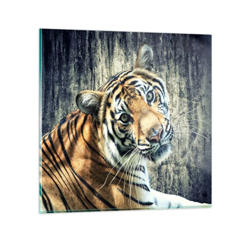 Glass picture - Portrait in Rays of Light - 60x60 cm