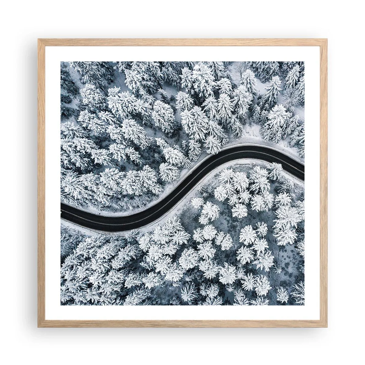 Poster in light oak frame - Through Wintery Forest - 60x60 cm