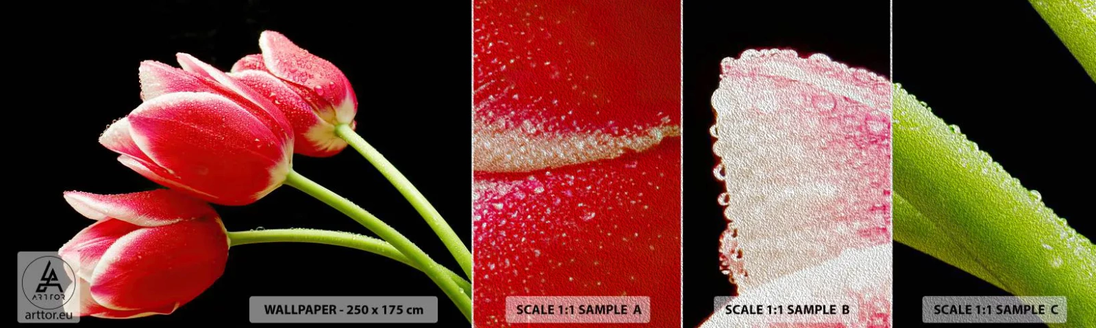 Photo Wallpaper Sample Premium Sand - Promise of Pure Love - Flowers, Tulips, Nature - 100x30 cm