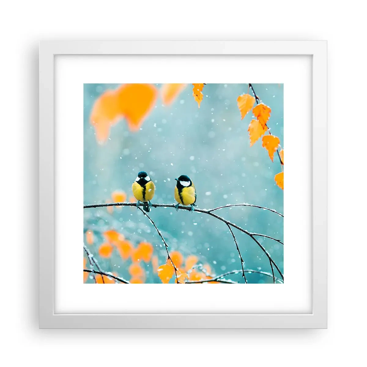 Poster in white frmae - Birdy Gossip - 30x30 cm