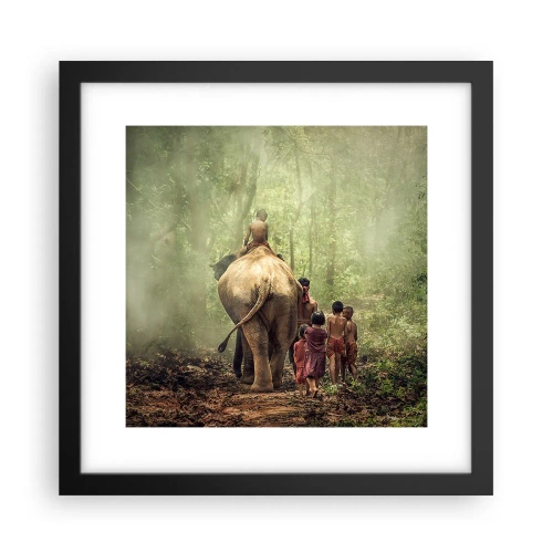 Poster in black frame - New Jungle Book - 30x30 cm