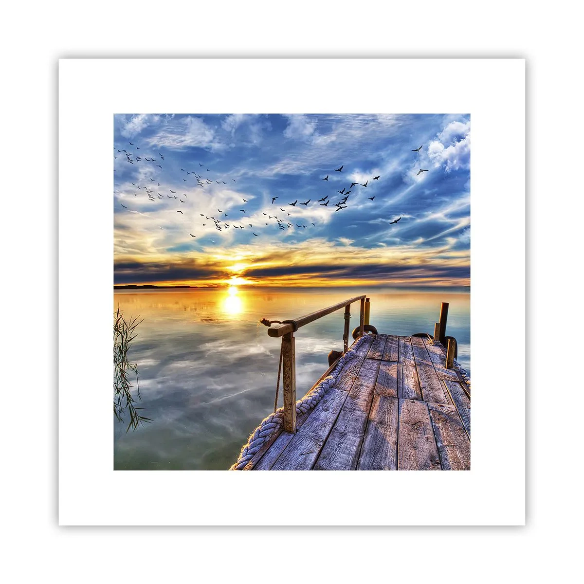 Poster - Wind is Taking a Break - 30x30 cm