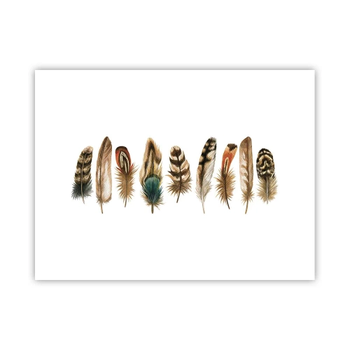 Poster - Feather Variation - 40x30 cm