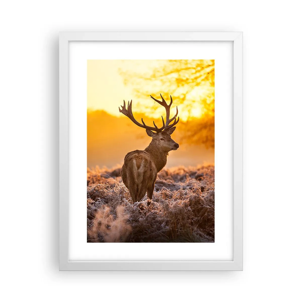 Poster in white frmae - King of Autumnal Forest - 30x40 cm