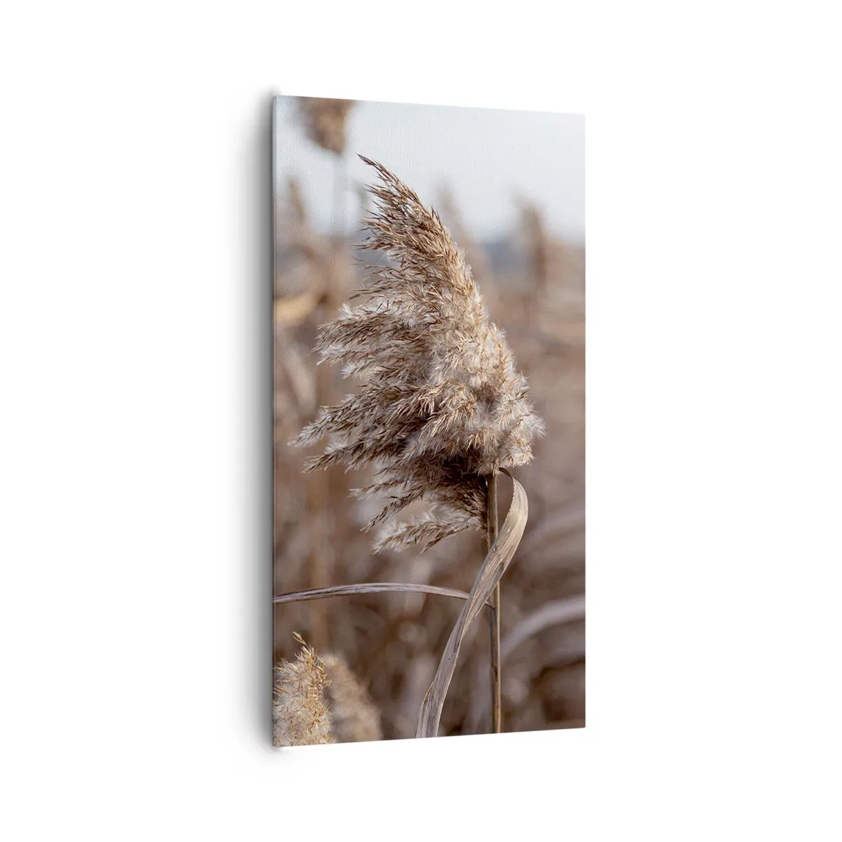 Canvas picture - Time to Fly with the Wind - 65x120 cm