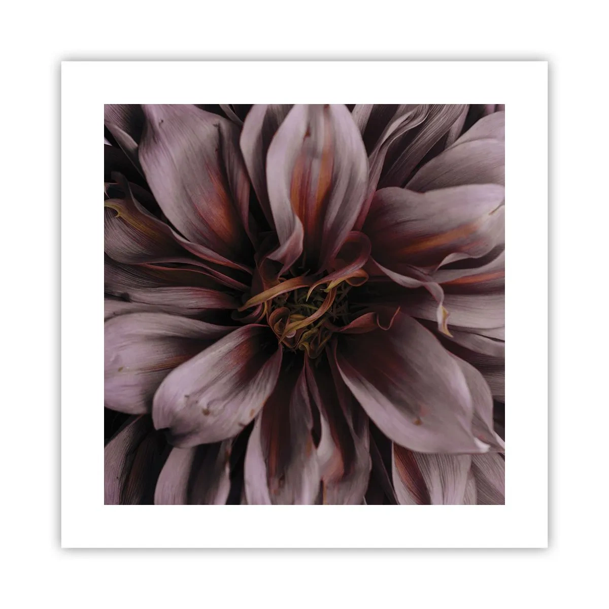 Poster - Flowery Heart - 40x40 cm