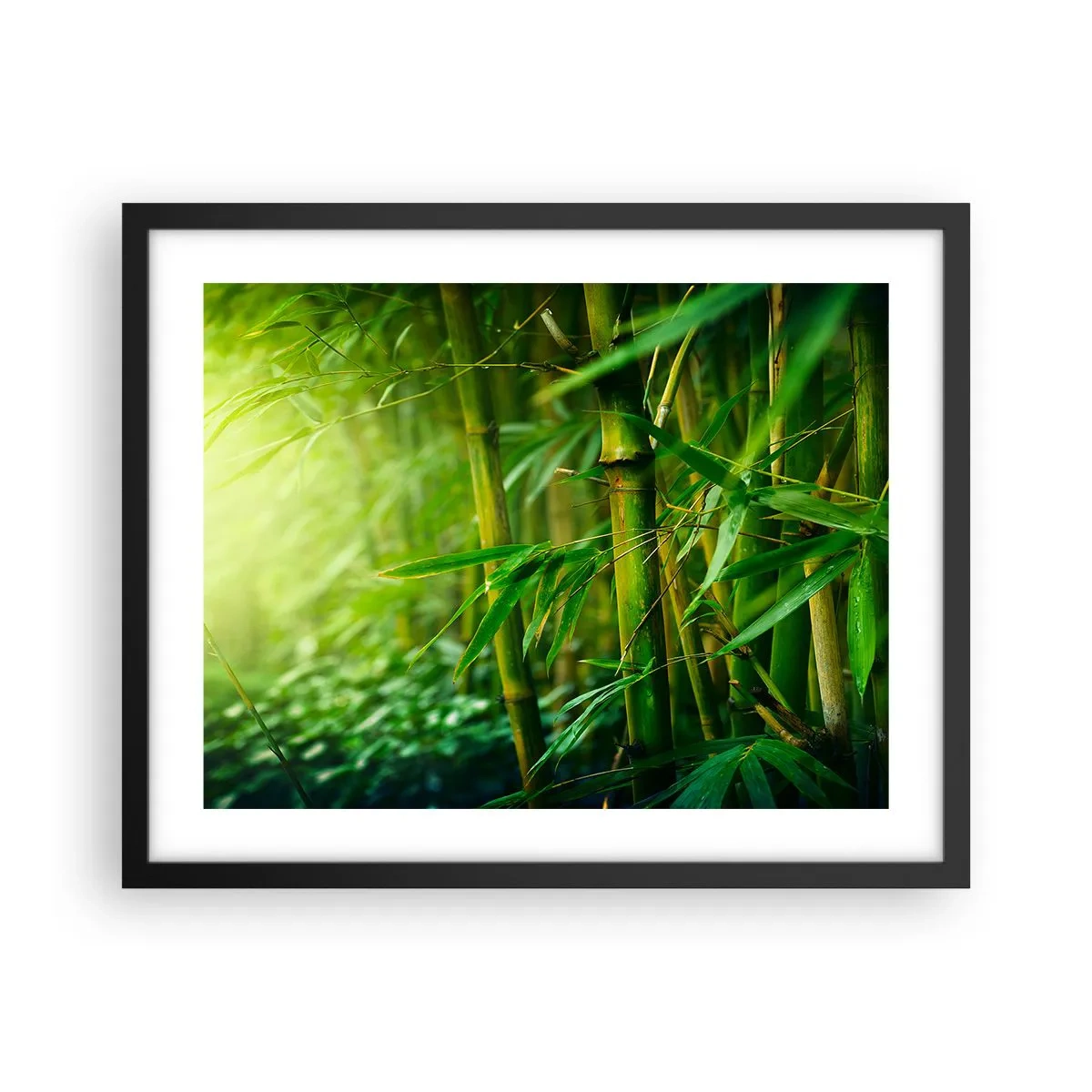 Poster in black frame - Getting to Know the Green - 50x40 cm