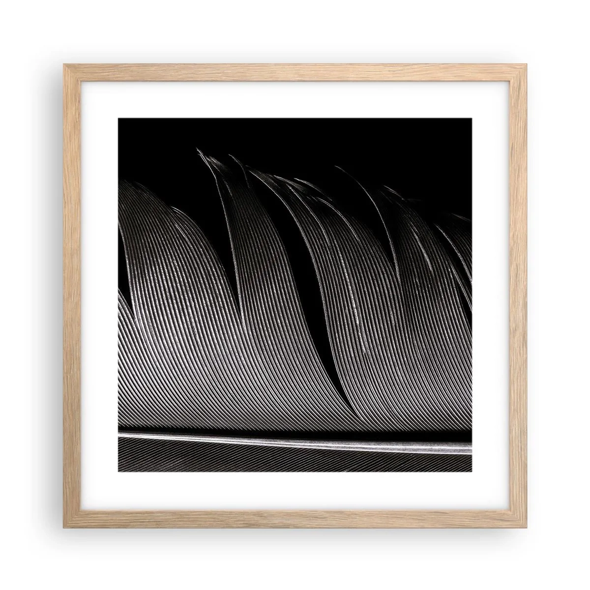 Poster in light oak frame - Feather - Wonderful Constract - 40x40 cm