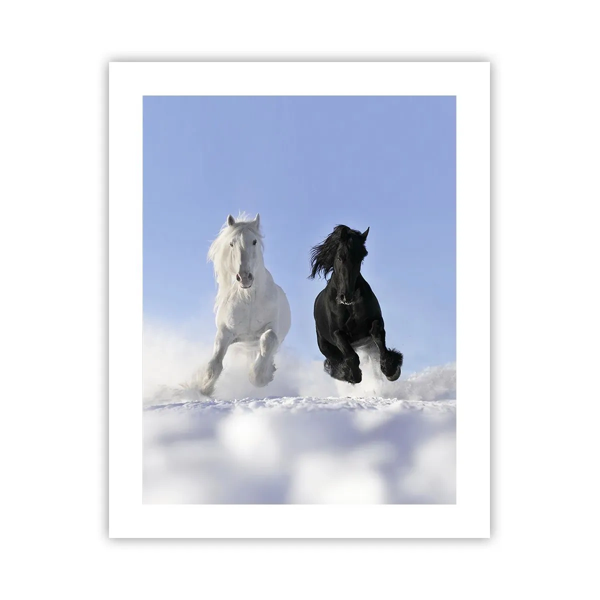 Poster - Black and White Gallop - 40x50 cm