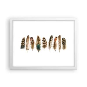 Poster in white frmae - Feather Variation - 40x30 cm