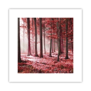 Poster - Red Equally Beautiful - 30x30 cm