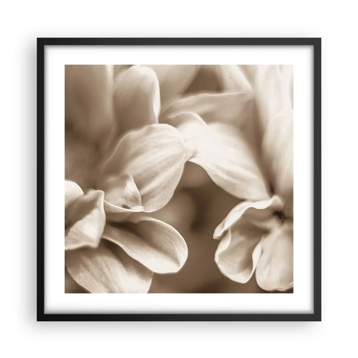 Poster in black frame - Soft as a Smile - 50x50 cm