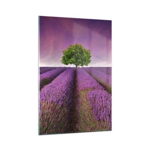 Glass picture - In the Fields of Lavender - 80x120 cm