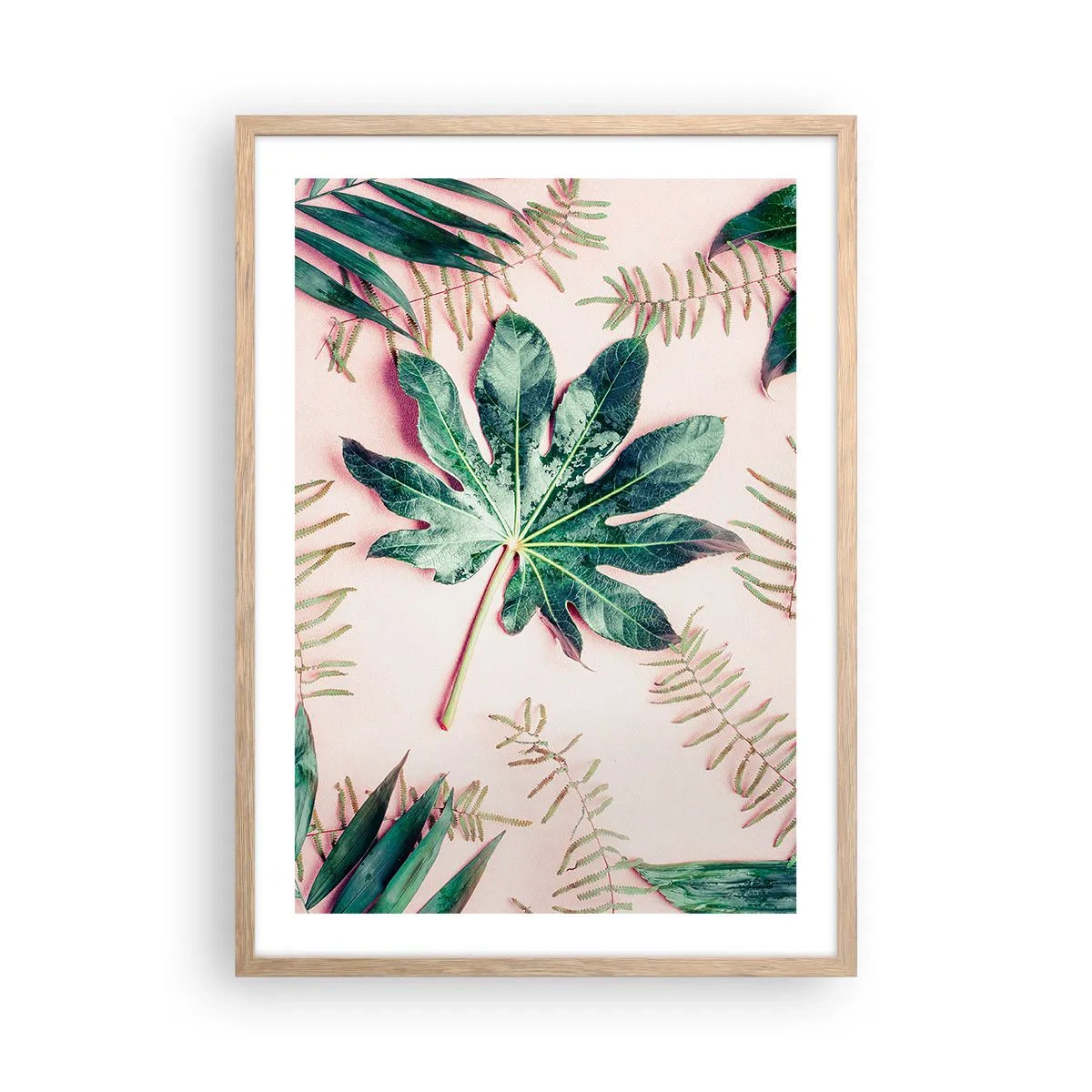 Poster in light oak frame - Study in Green on Pink Background - 50x70 cm