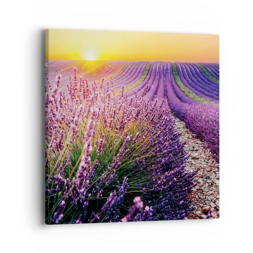 Canvas picture - Fragrant Field - 40x40 cm