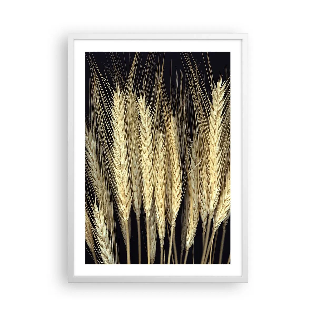 Poster in white frmae - Rustic Magic - 50x70 cm