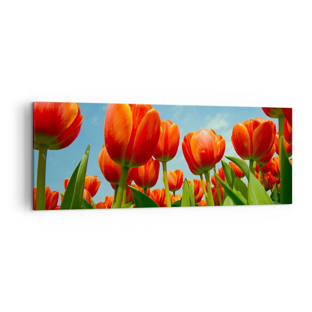Canvas picture - Blue Sky Is All They Need - 140x50 cm