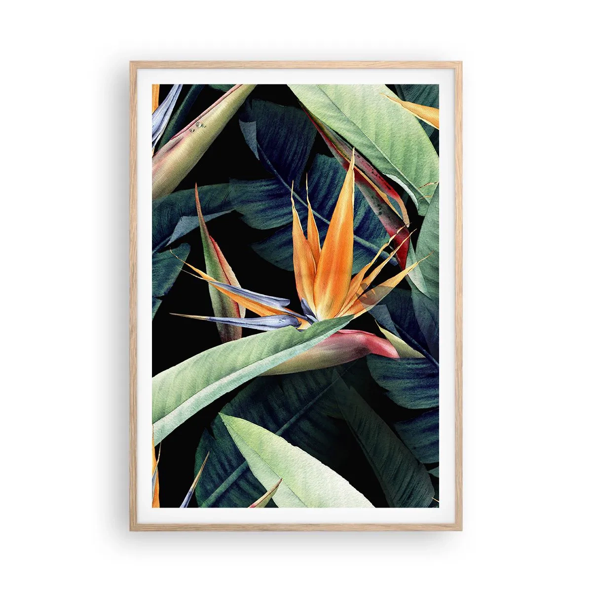 Poster in light oak frame - Flaming Flowers of the Tropics - 70x100 cm