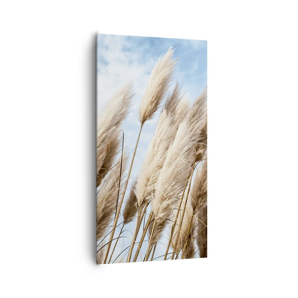 Canvas picture - Caress of Sun and Wind - 65x120 cm