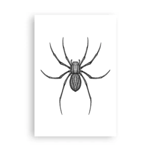 Poster - Disturbing Precision - 61x91 cm