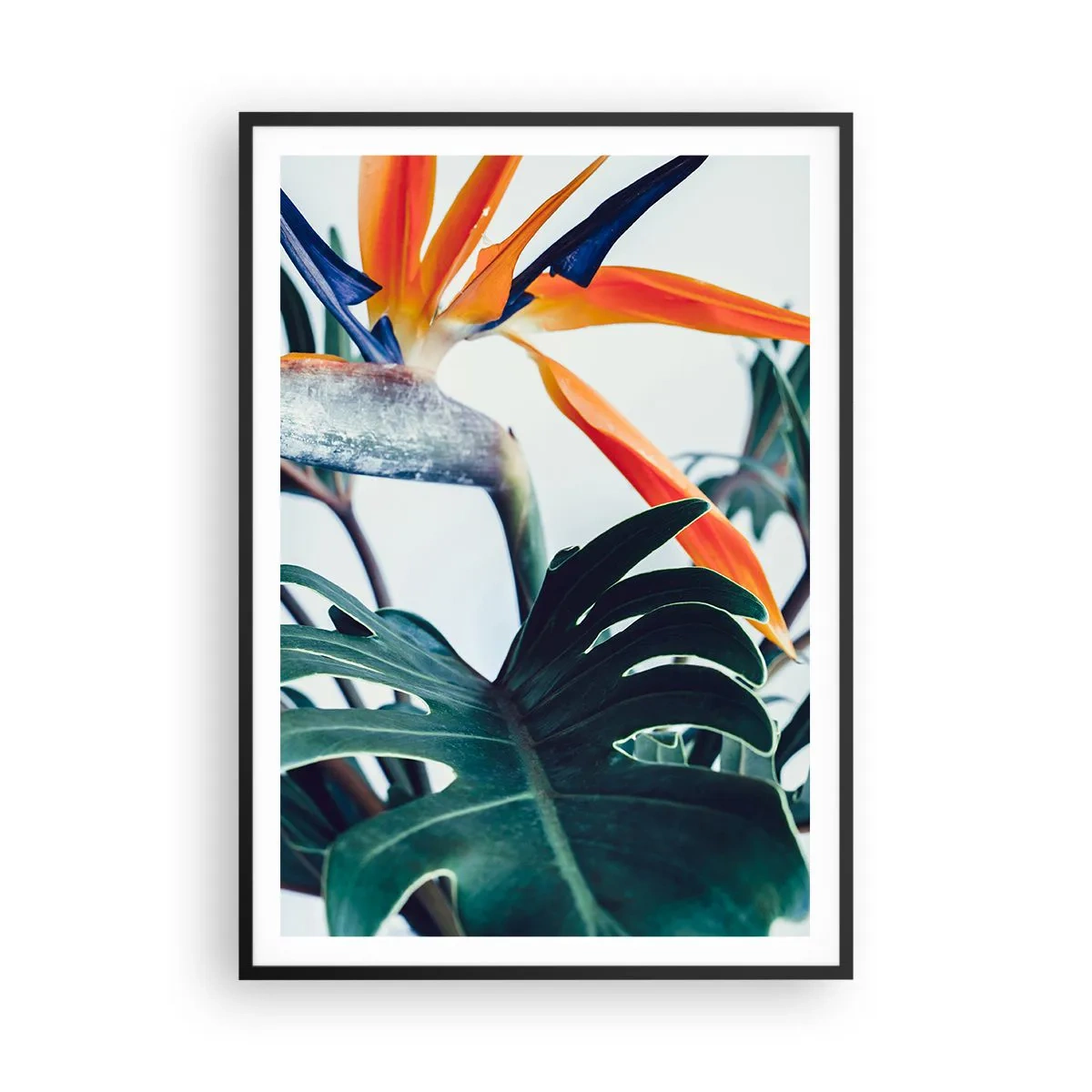 Poster in black frame - Birdy Bush - 70x100 cm