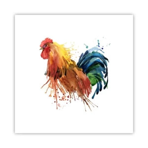 Poster - King Rooster - 30x30 cm