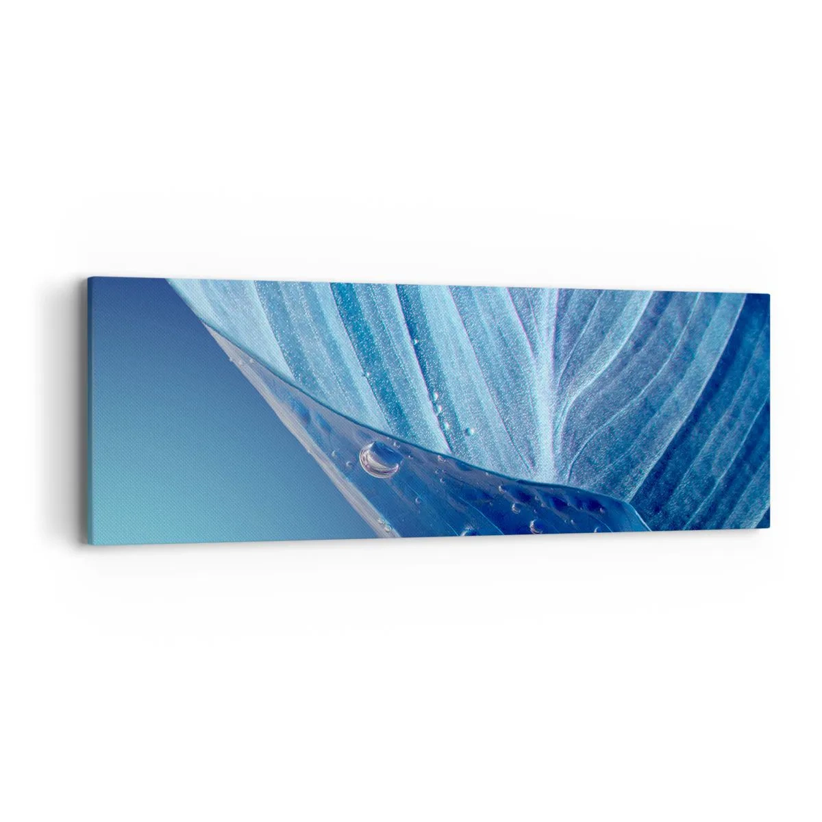 Canvas picture - Hidden Drops of Blue - 90x30 cm
