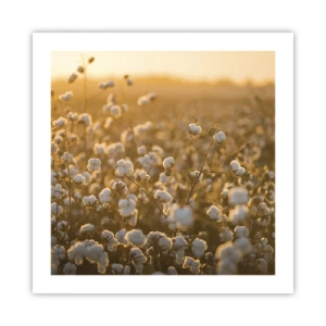 Poster - Fluffy Field - 50x50 cm