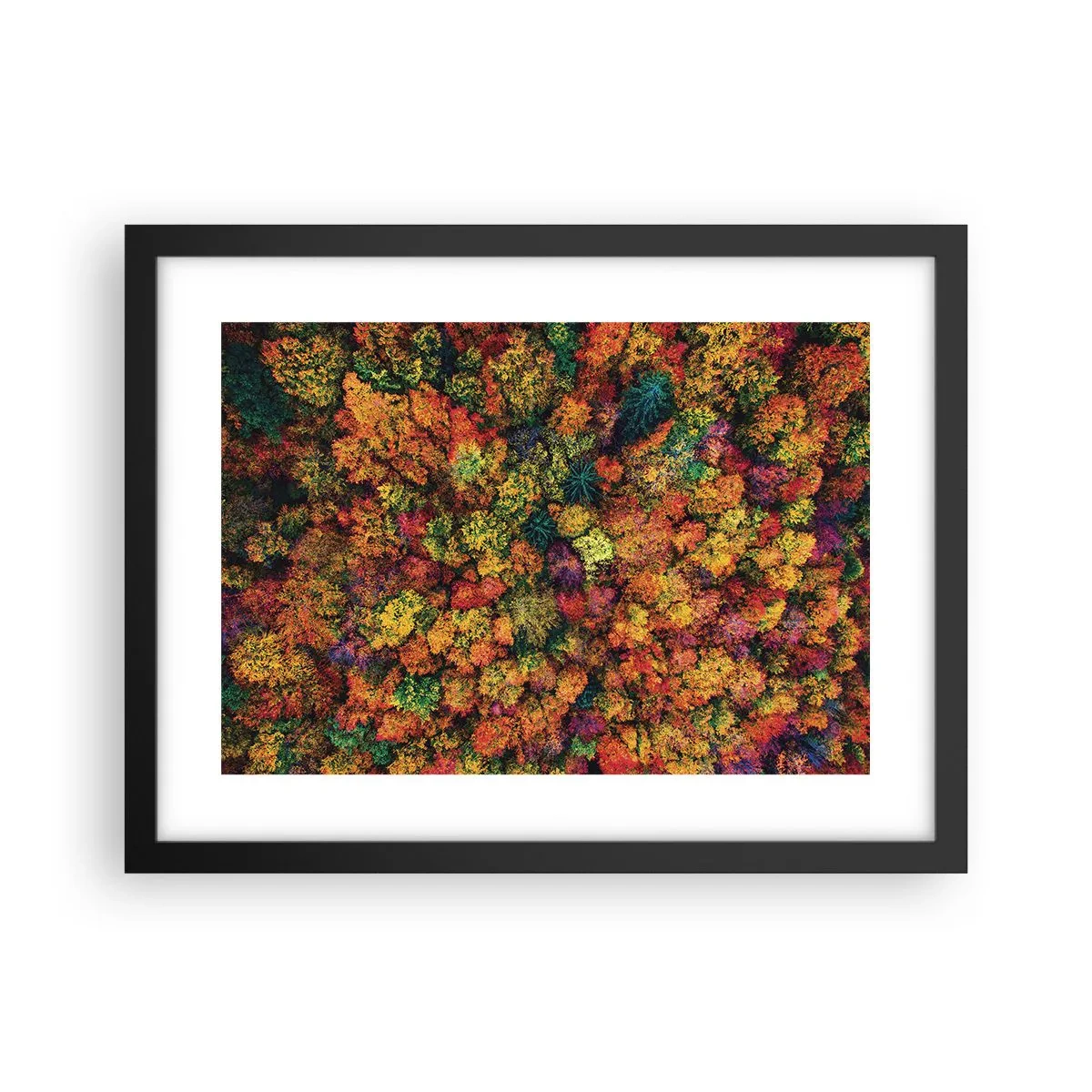 Poster in black frame - Bouquet of Autumn Flowers - 40x30 cm