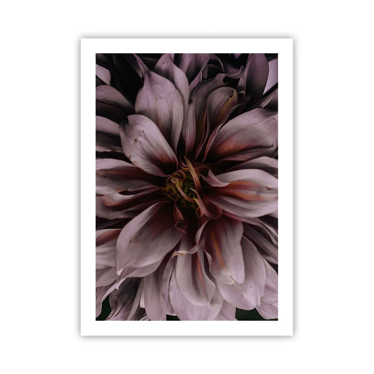 Poster - Flowery Heart - 50x70 cm