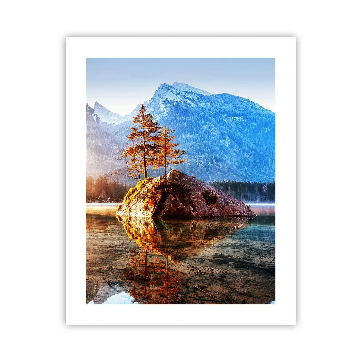 Poster - Nature in New Light - 40x50 cm