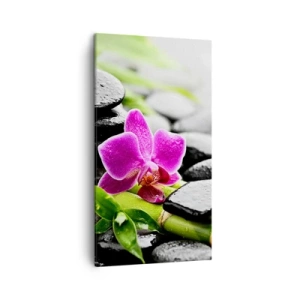 Canvas picture - In a Peaceful Balance - 45x80 cm