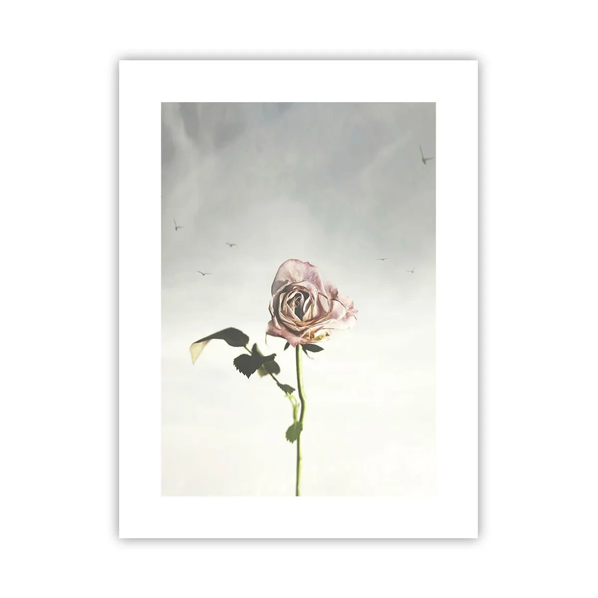 Poster - Welcoming of Spring - 30x40 cm