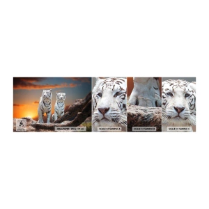 Photo Wallpaper Sample Self-Adhesive Deluxe Sticker - Just Like in Narnia - Animals, Tiger, Sunset - 100x30 cm