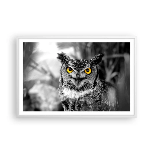 Poster in white frmae - Nothing Can Hide - 91x61 cm