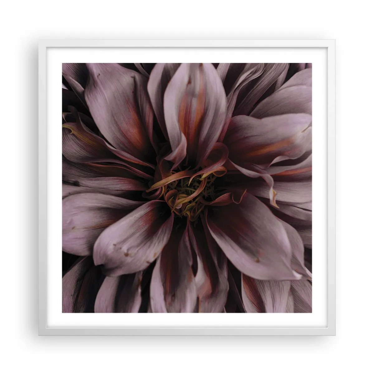 Poster in white frmae - Flowery Heart - 60x60 cm